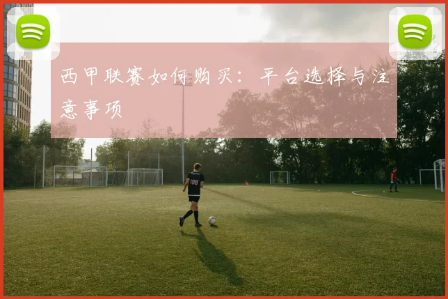 西甲联赛如何购买：平台选择与注意事项