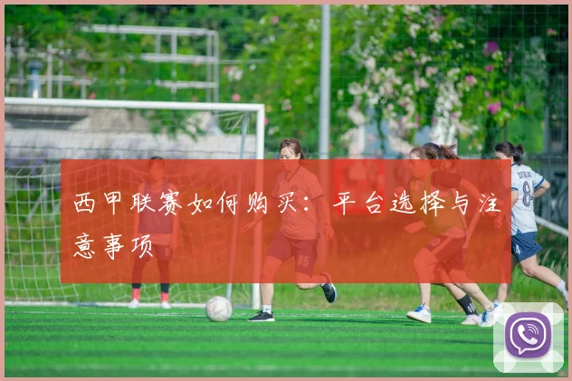 西甲联赛如何购买：平台选择与注意事项