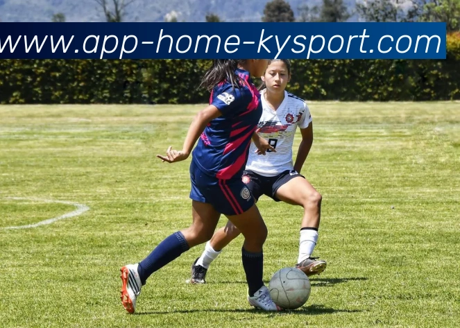 开云app发展历程